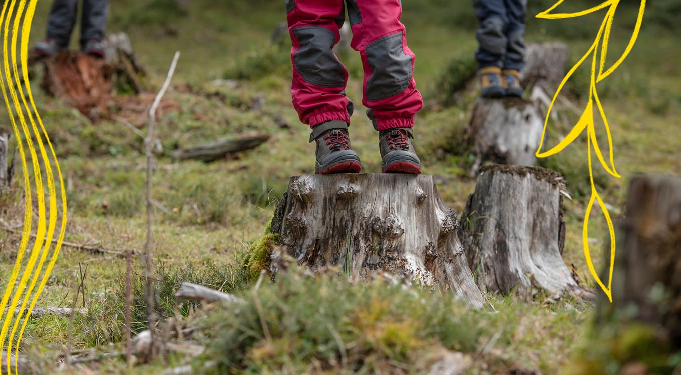 Redwood für Kinder
Stabilität, Schutz und Komfort für Kinder